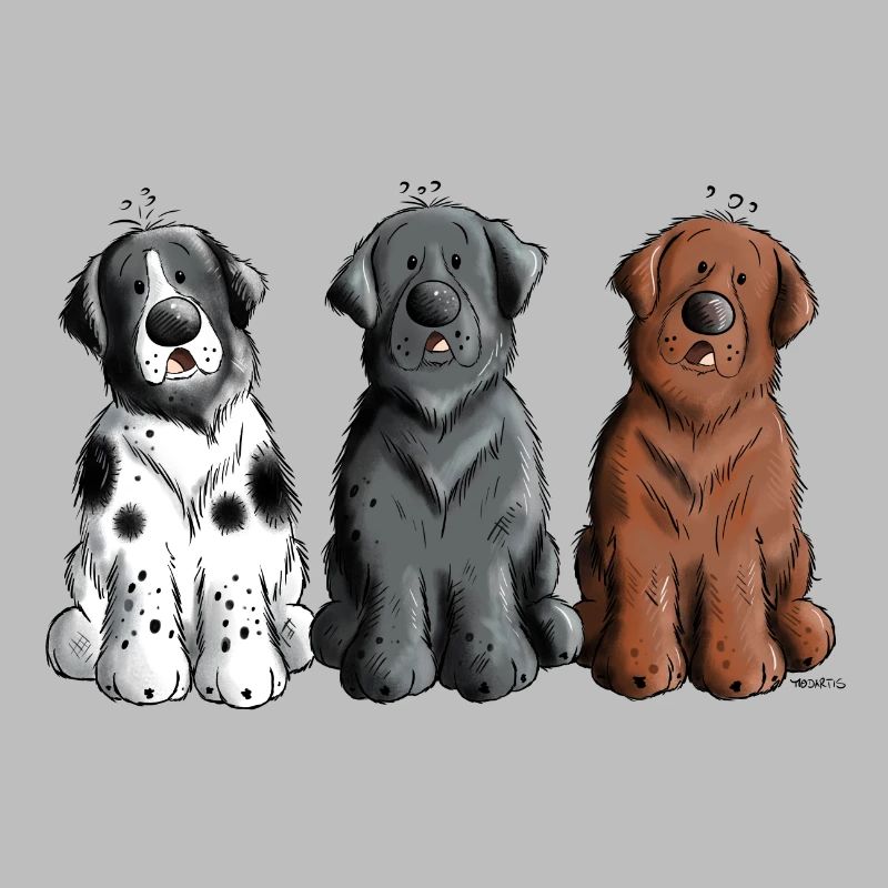 Three Newfoundland Dogs