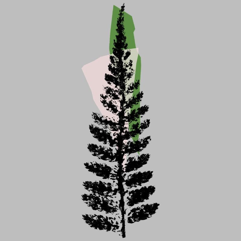 Leaf