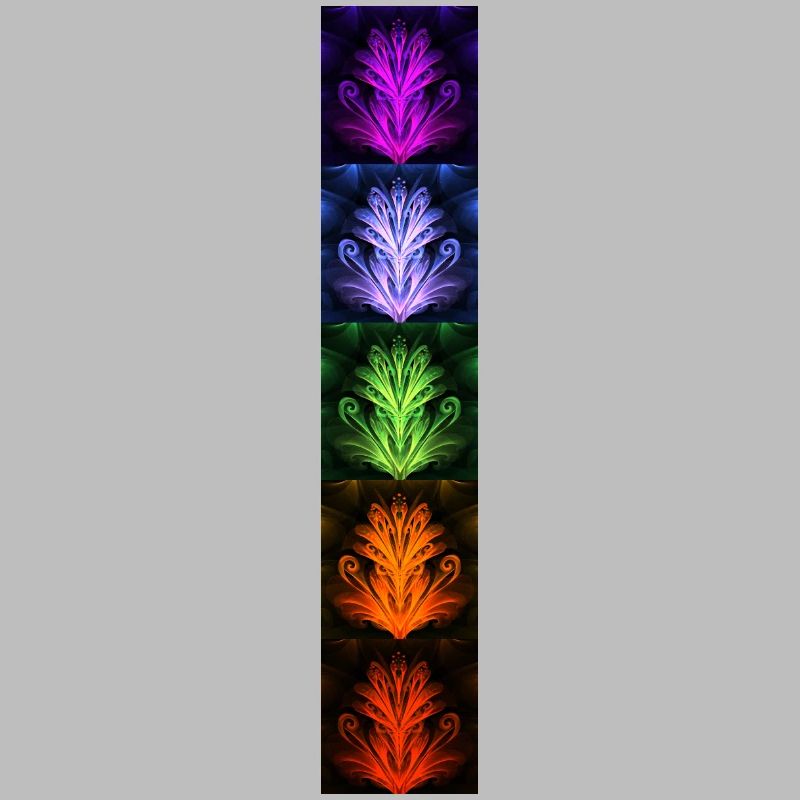 Nightflower Monkeyface