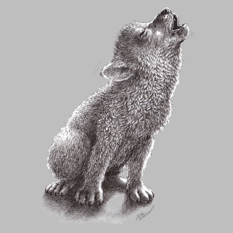 Young howling wolf