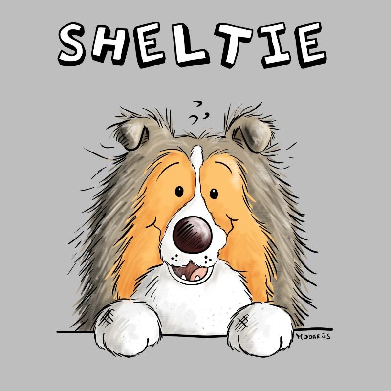 Neugieriger Sheltie