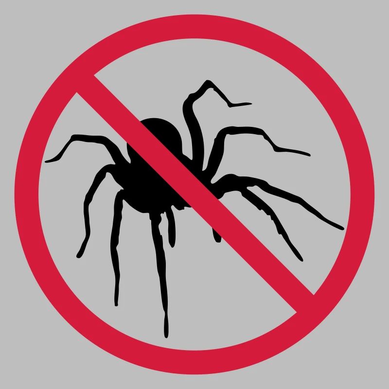 aucune araignée interdit bouclier conception araignée cl