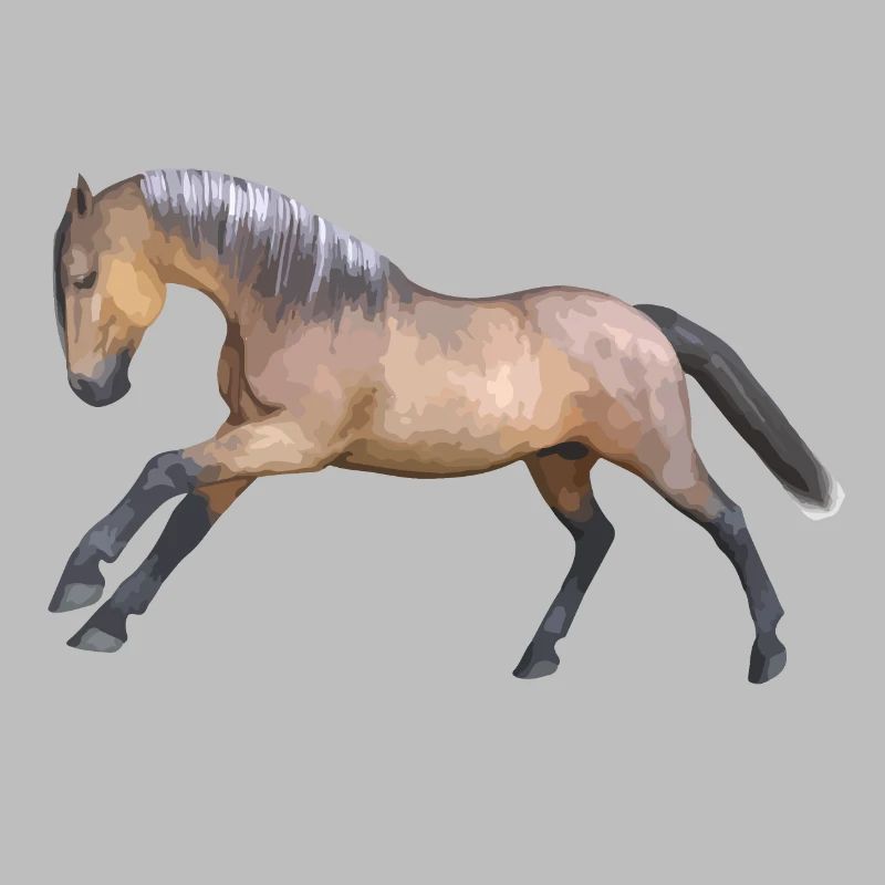 Conception énergique du cheval de galop