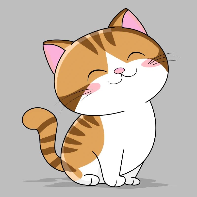 Petit chat mignon