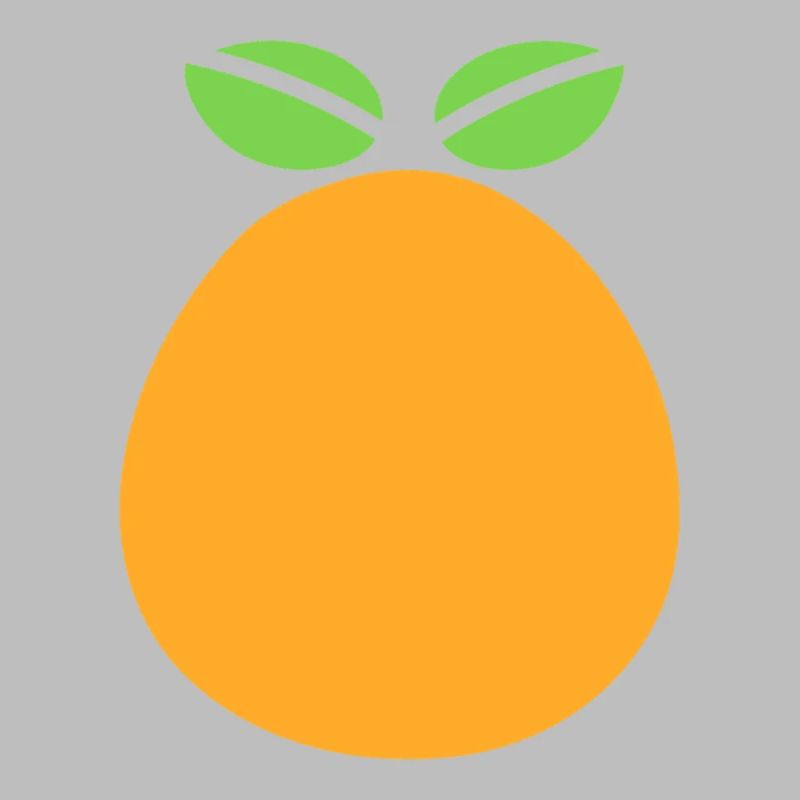 Orange Fruit Graphic Design with Mango