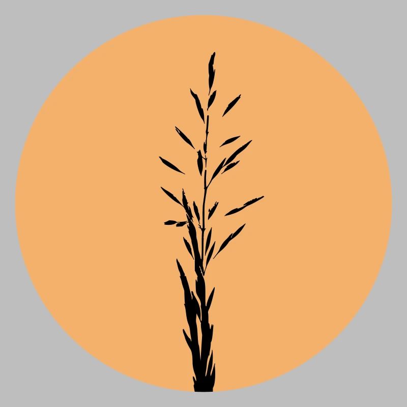 Silhouette im Sunset Circle