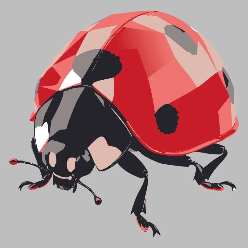 Ladybug4