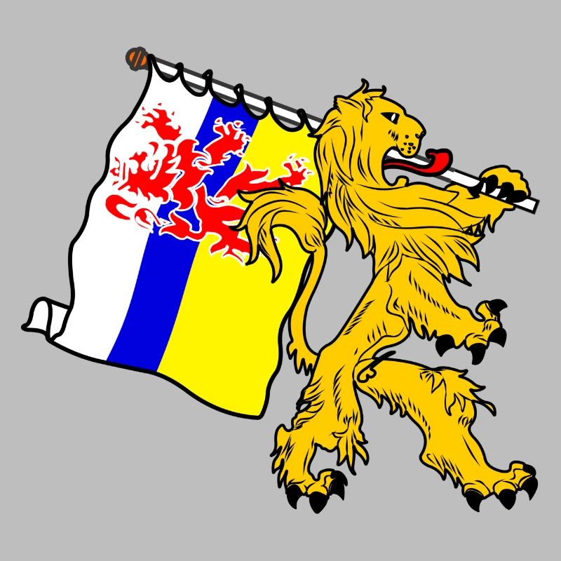 Lion avec drapeau Limbourg le drapeau limbourg