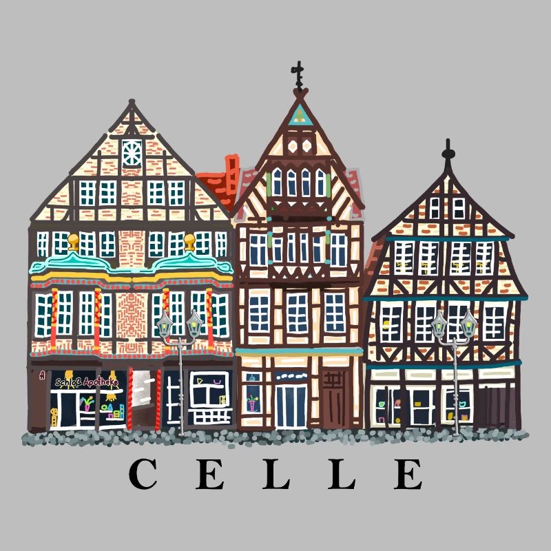 Celle, Lower Saxony, Half-timbered houses, Germany