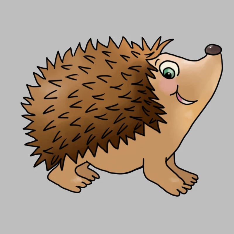 Hérissons amicaux