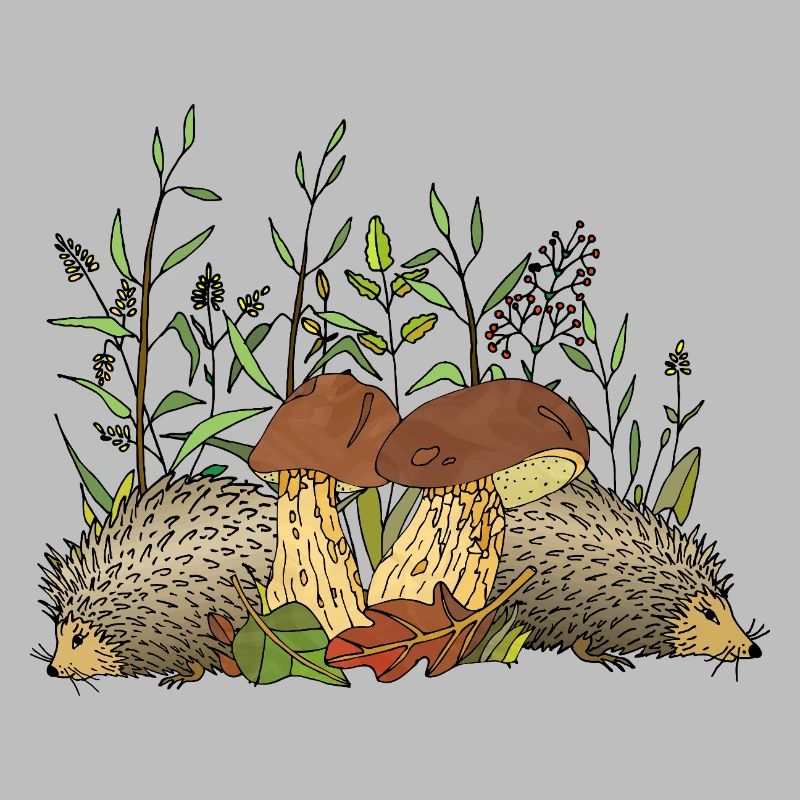 Hedgehogs