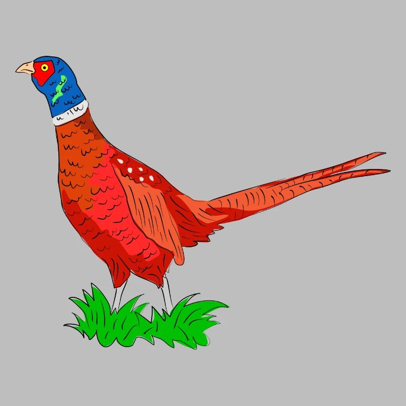 Colored Pheasant Adventure Graphic