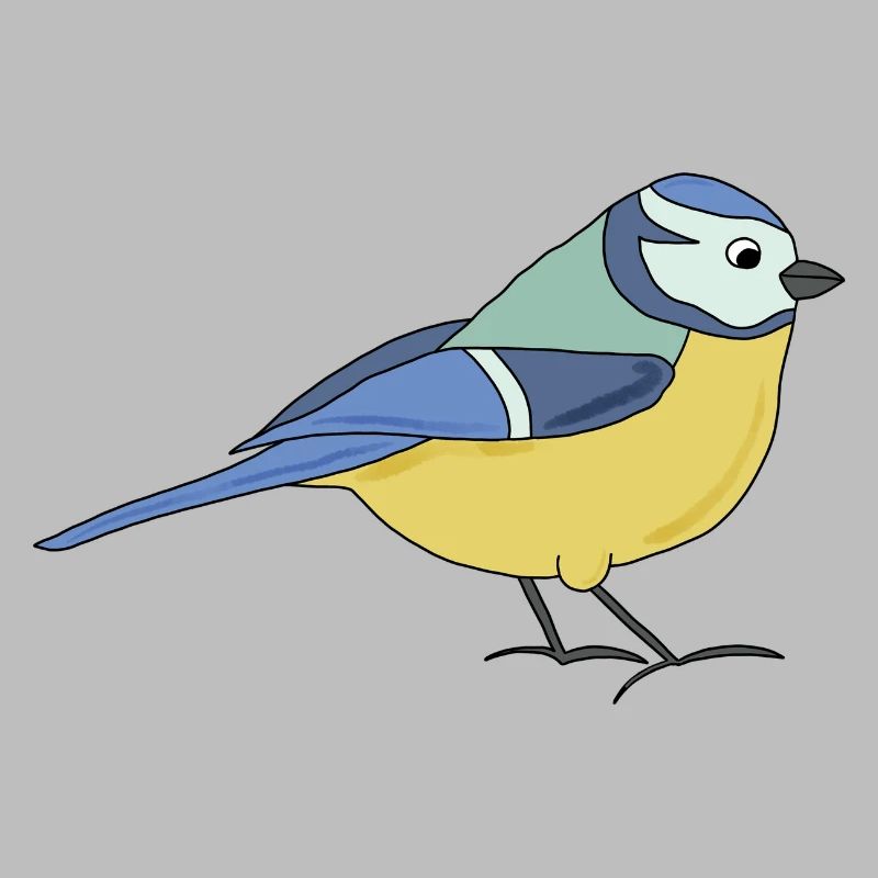 small blue, multicoloured