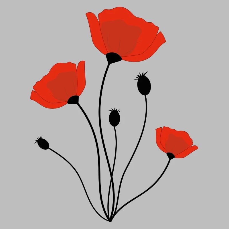 corn poppy
