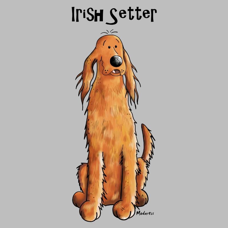 Mignon Irish Setter