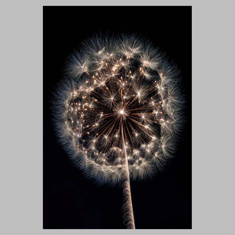 Luminous Dandelion Firework