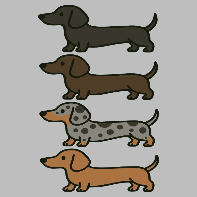 Variations de couleur de Teckel mignons