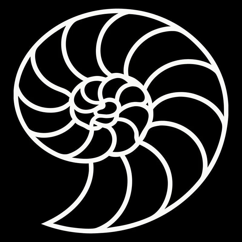 Weiße Nautilus-Spirale