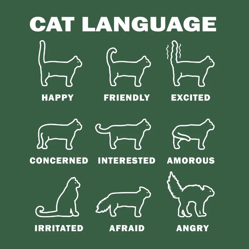 Langue des chats