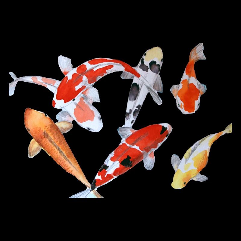 Élégant poisson Koi aquarelle design