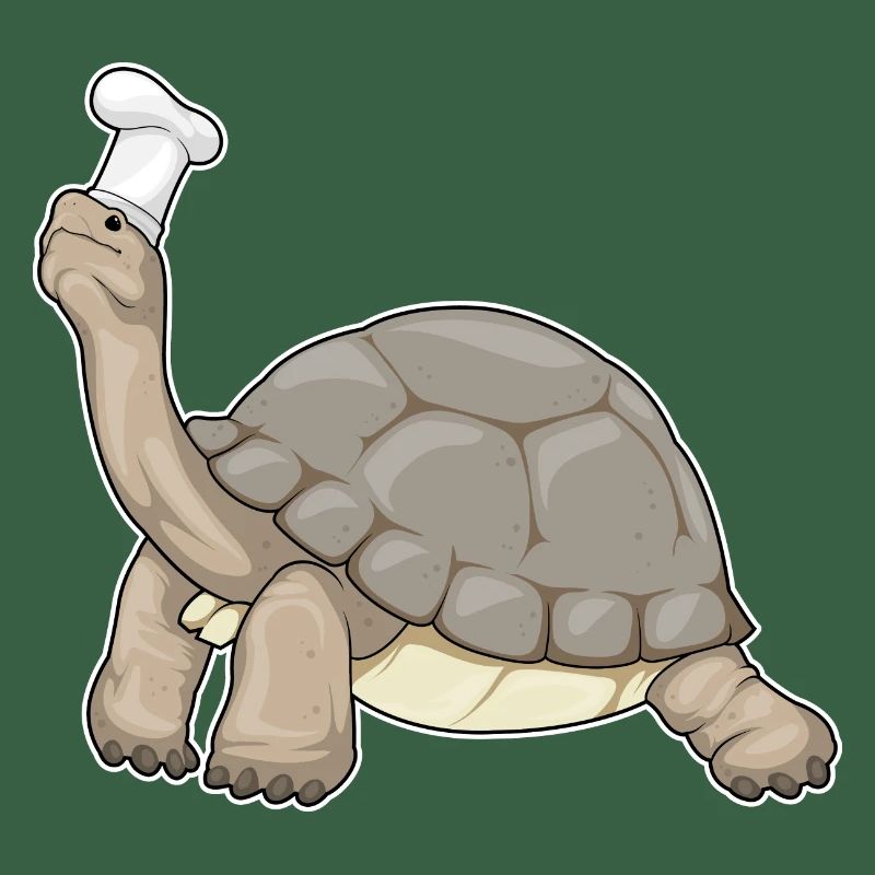 Turtle Chef Chef Chef Hat Cooking