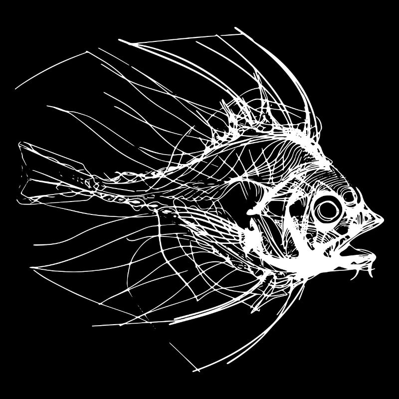 Fisch Skizze
