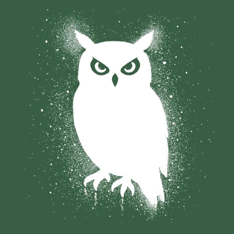 Drôle de hibou