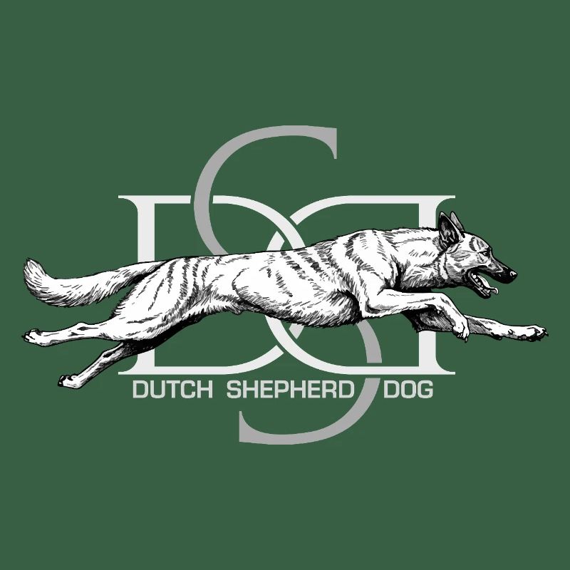 Dutchie - Holländischer Schäferhund