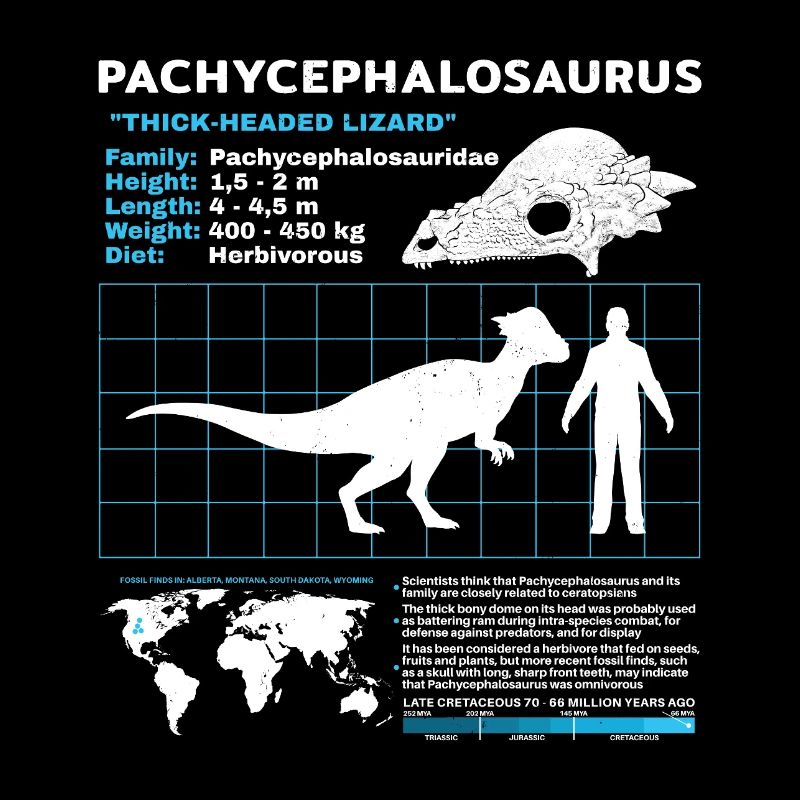 Fiche d’information sur les Pachycéphalosaures