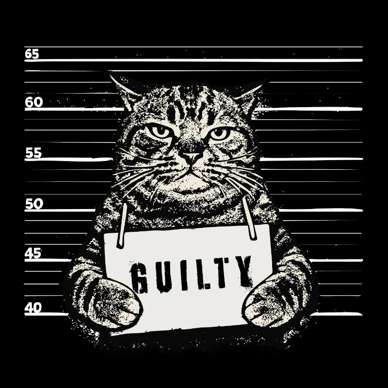 Grim Cat – Coupable de la photo d’identité judiciaire