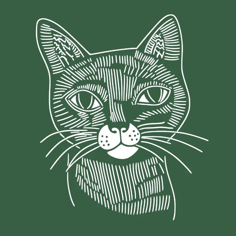 Katze 