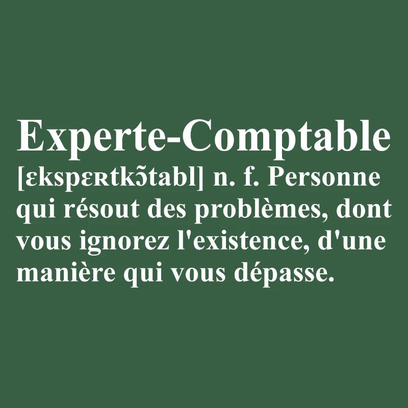 Experte-Comptable Définition