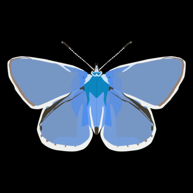 Butterflies: The common blue