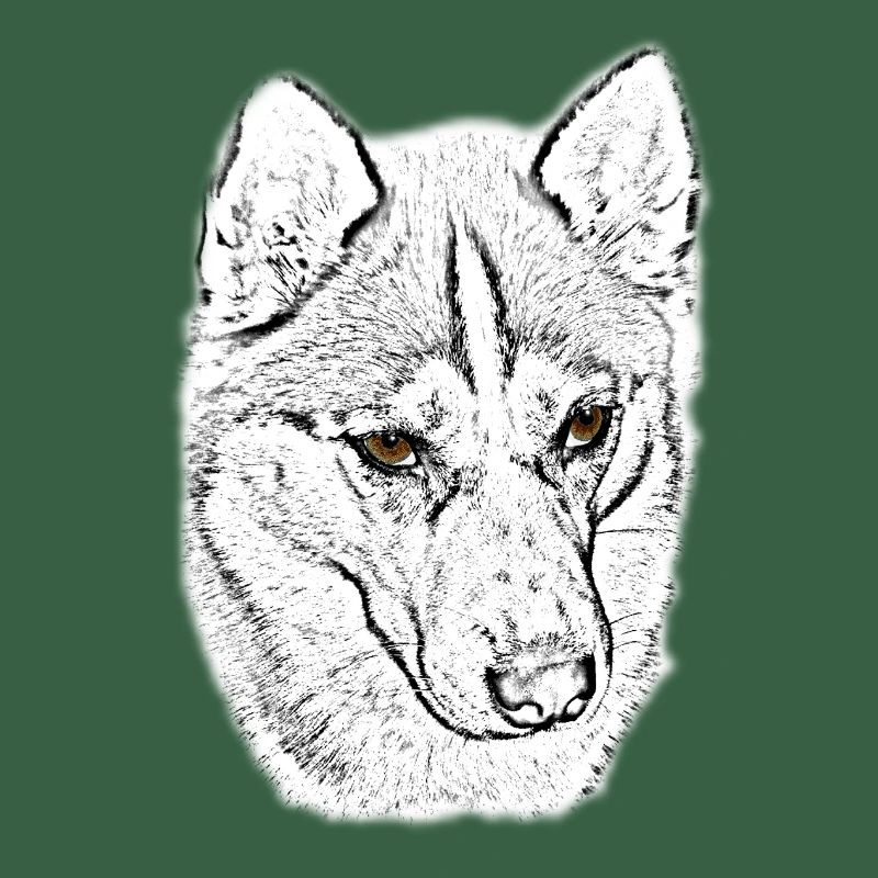 Wolfskopf Line Study