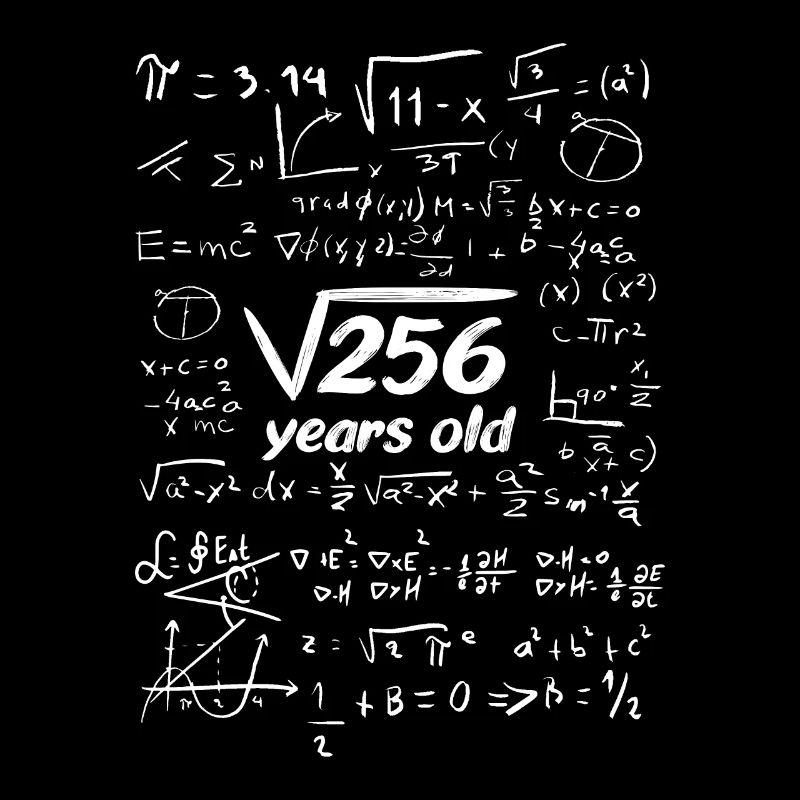 Birthday shirt root square root 256 16 years