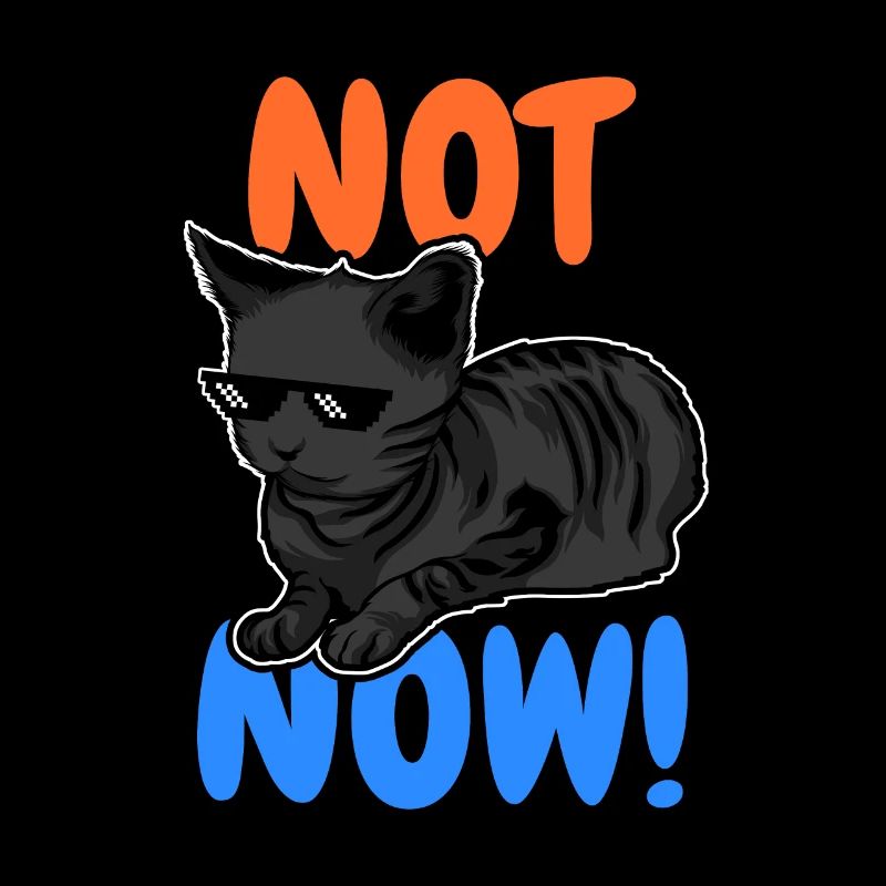 Drôle de chat