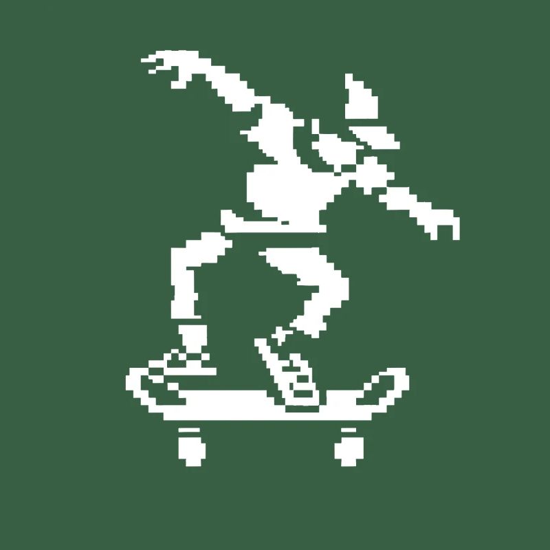 Skateboarder Pixel Graphic