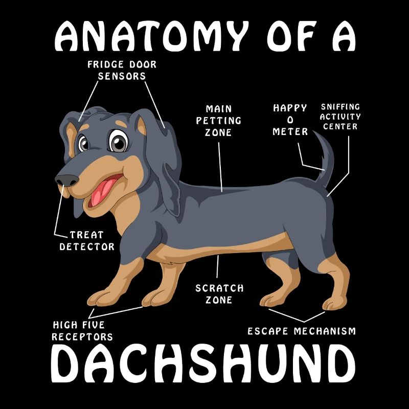Dachshund Anatomy Dog Tee