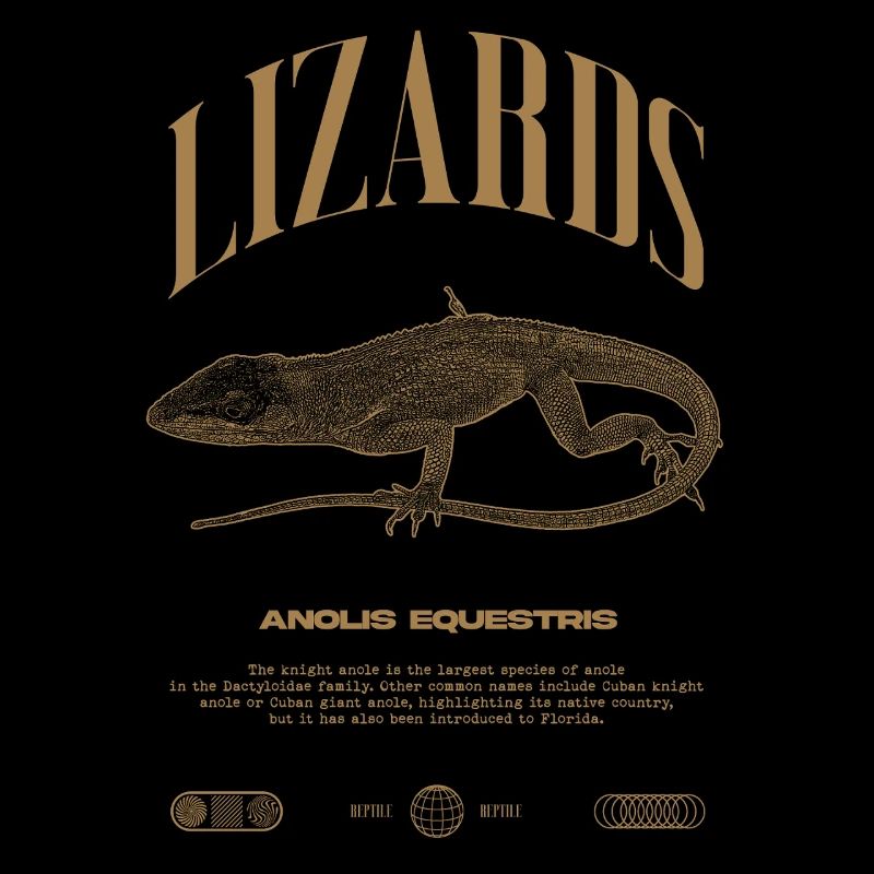 Cuban Knight Anole Reptile Keeper Lizard