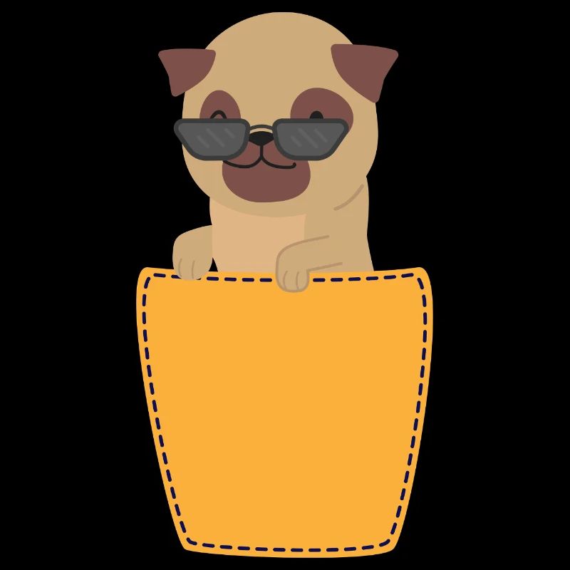 Mops mit Sonnenbrille in Brusttasche