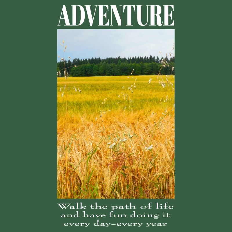 Aventure dans le champ de blé