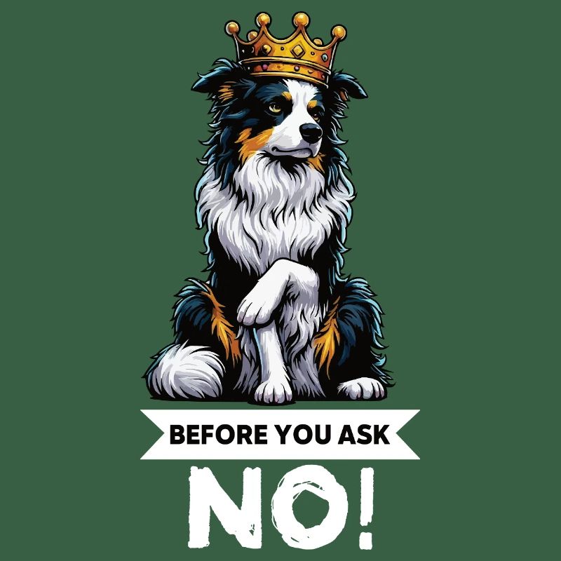 Before You Ask Australian Shepherd Aussie Aussies