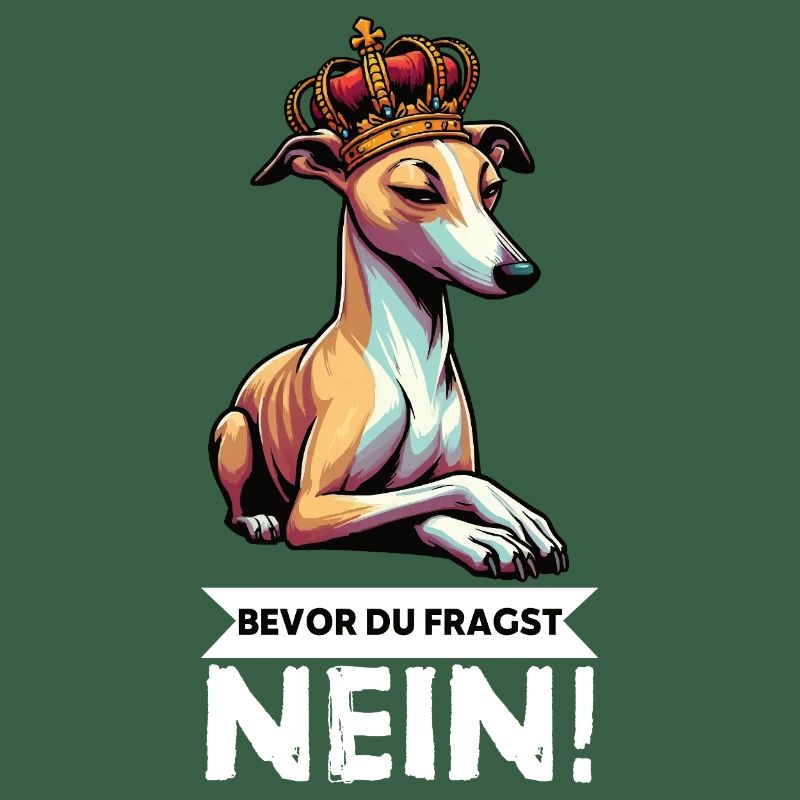 Before You Ask Whippet Greyhound Whippets