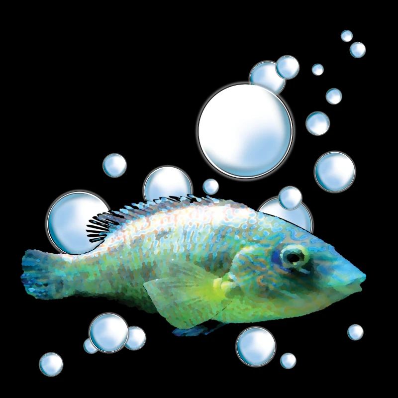 Motif de poisson d’aquarium coloré