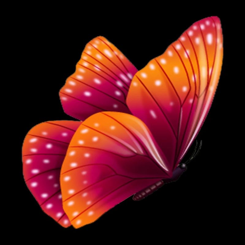 Butterfly Geschenk Shirt Orange Exotisches Tier