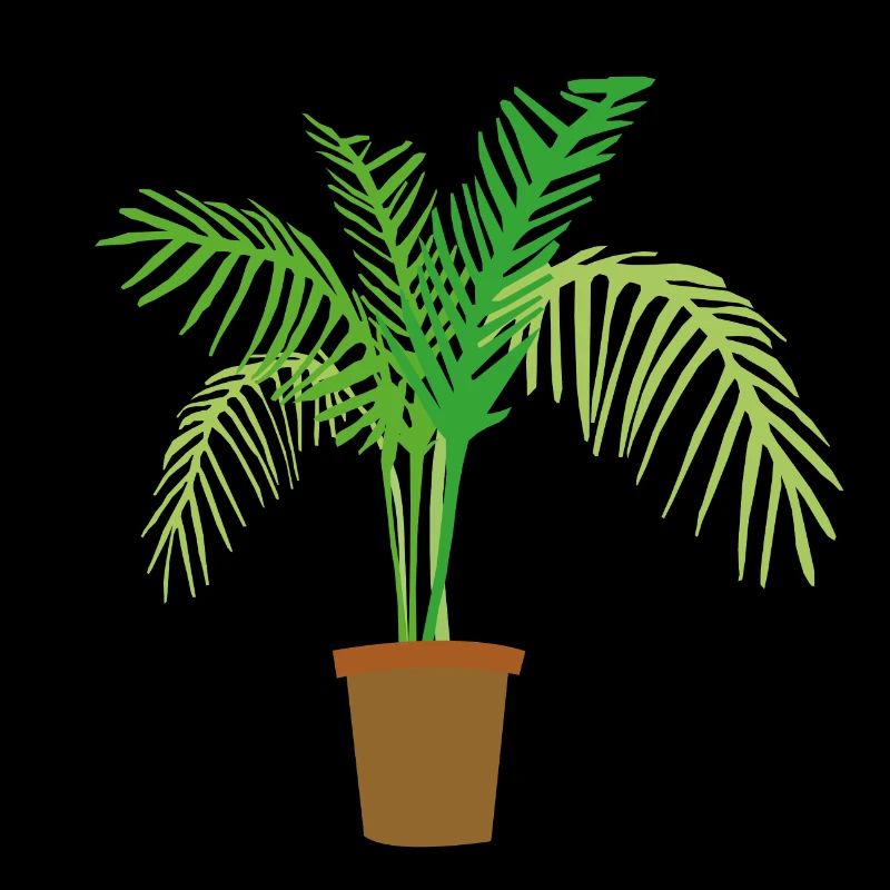 palm tree