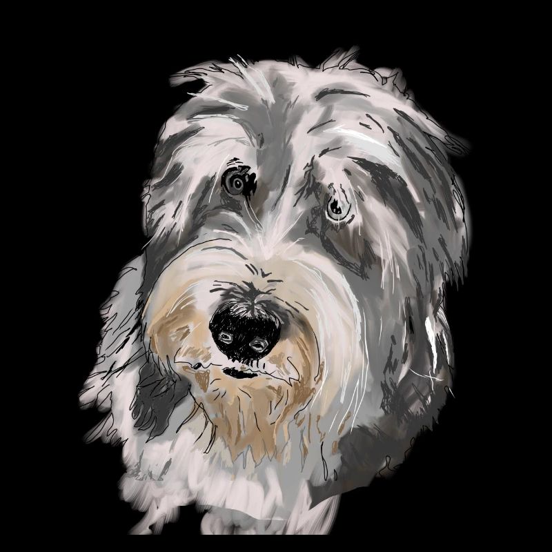 Collie barbu