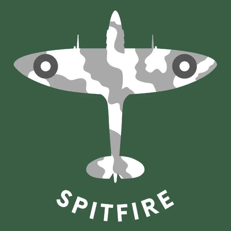 Spitfire-Jagdflugzeug