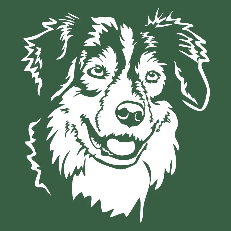 Australian Shepherd Kopf "Black Edition"