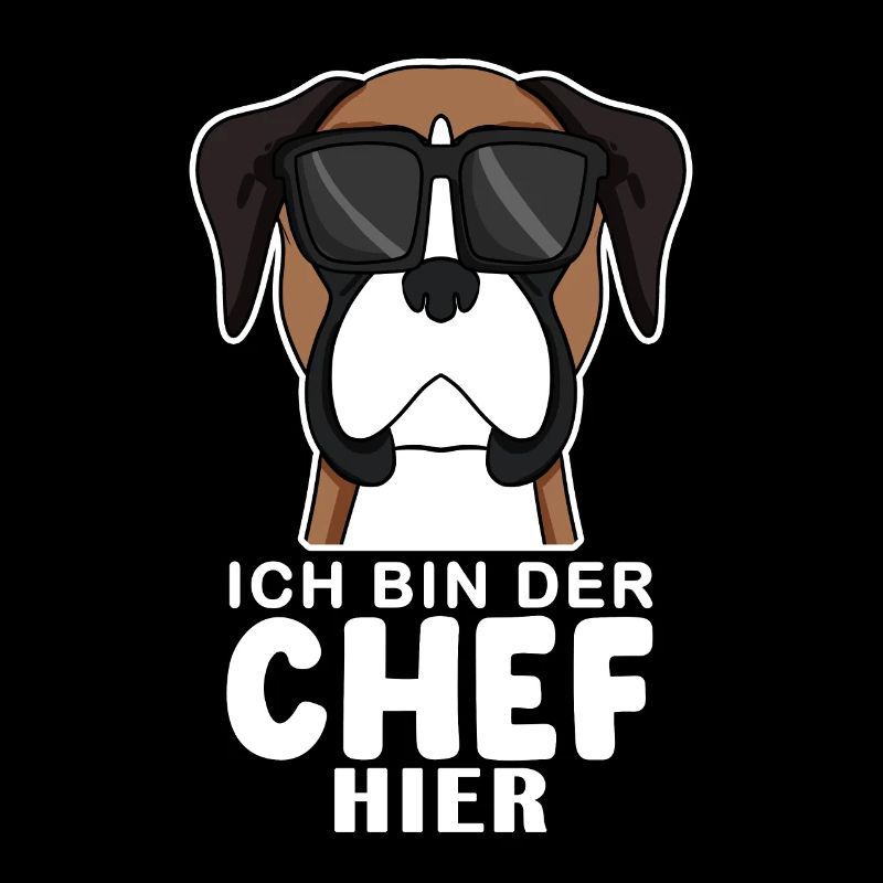 Hund Deutscher Boxer Cool Chef